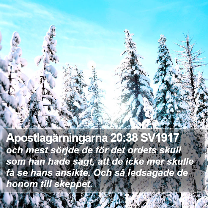 Apostlagärningarna 20:38 SV1917 Bible Study