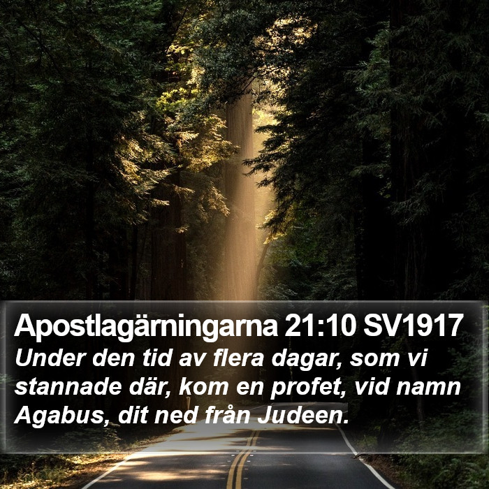 Apostlagärningarna 21:10 SV1917 Bible Study