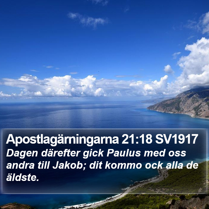 Apostlagärningarna 21:18 SV1917 Bible Study