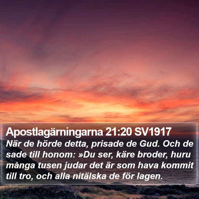 Apostlagärningarna 21:20 SV1917 Bible Study