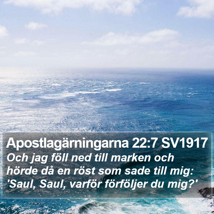 Apostlagärningarna 22:7 SV1917 Bible Study