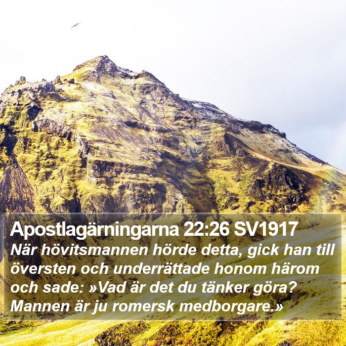 Apostlagärningarna 22:26 SV1917 Bible Study