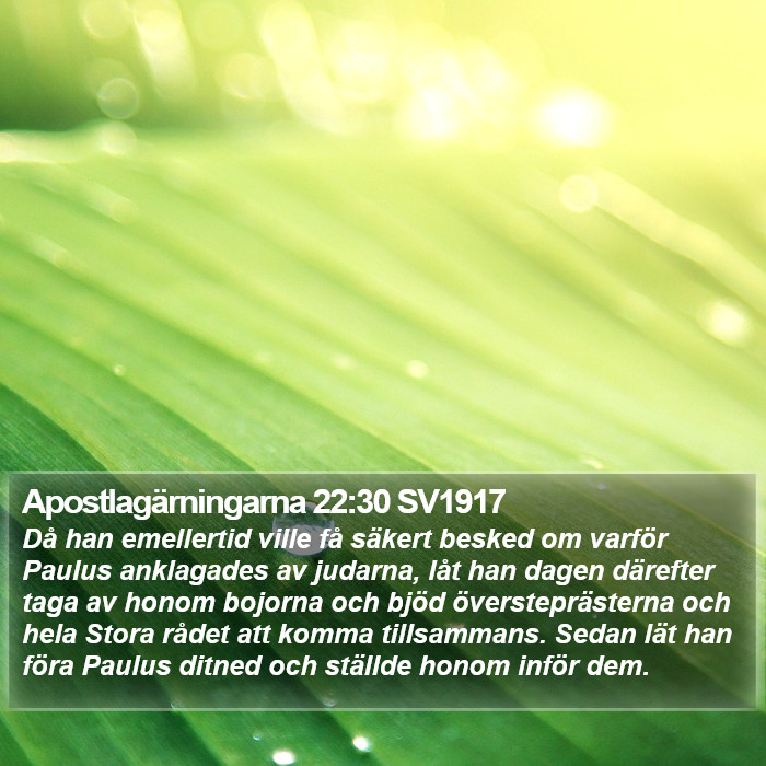 Apostlagärningarna 22:30 SV1917 Bible Study