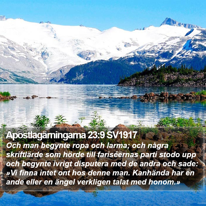 Apostlagärningarna 23:9 SV1917 Bible Study