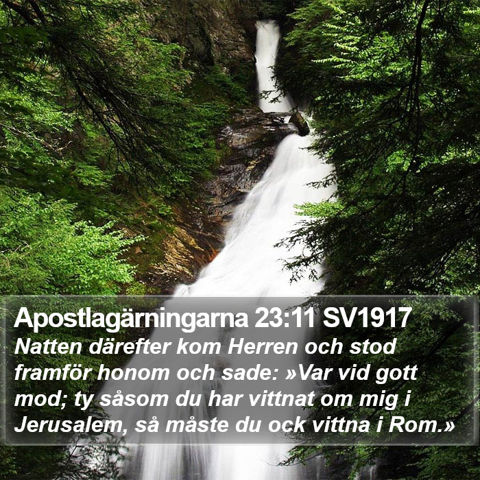 Apostlagärningarna 23:11 SV1917 Bible Study