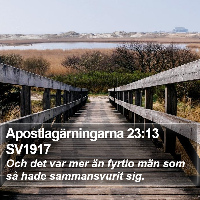 Apostlagärningarna 23:13 SV1917 Bible Study