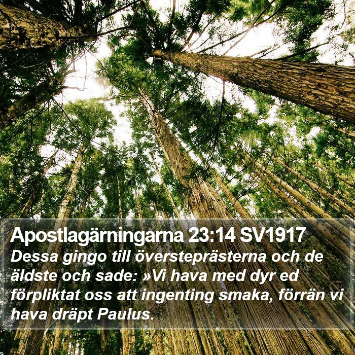 Apostlagärningarna 23:14 SV1917 Bible Study