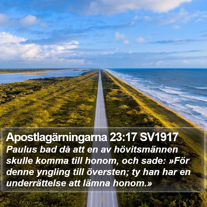 Apostlagärningarna 23:17 SV1917 Bible Study