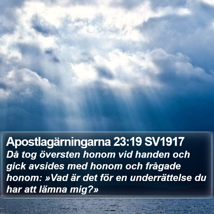 Apostlagärningarna 23:19 SV1917 Bible Study