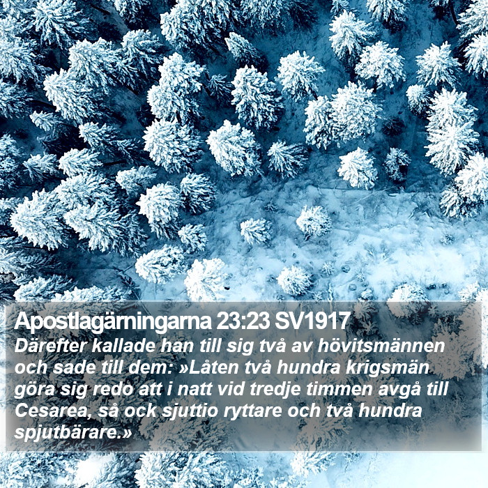 Apostlagärningarna 23:23 SV1917 Bible Study