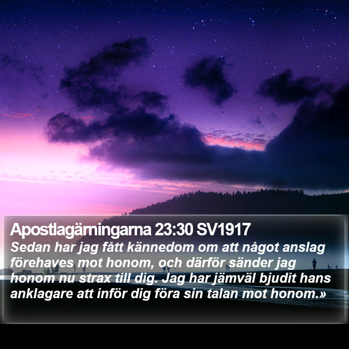 Apostlagärningarna 23:30 SV1917 Bible Study