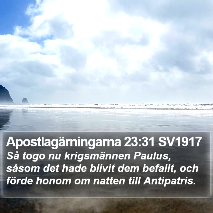 Apostlagärningarna 23:31 SV1917 Bible Study