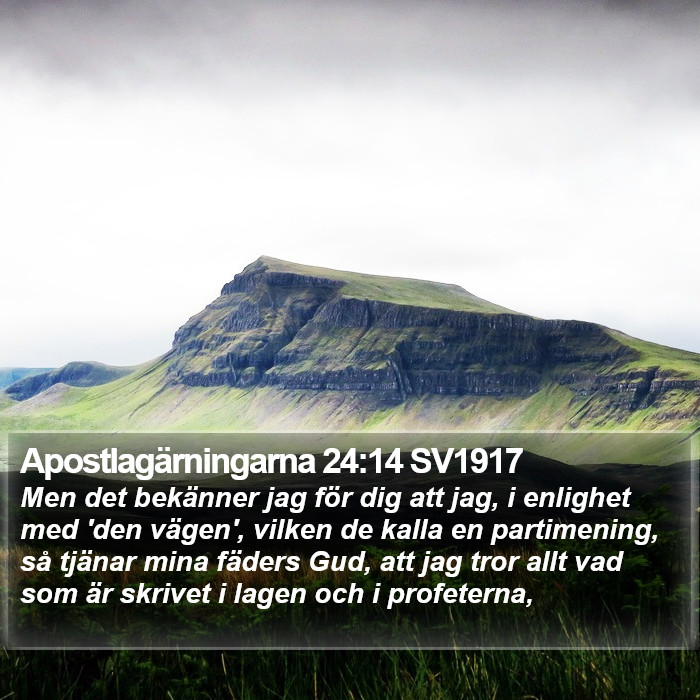 Apostlagärningarna 24:14 SV1917 Bible Study