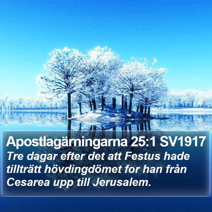 Apostlagärningarna 25:1 SV1917 Bible Study