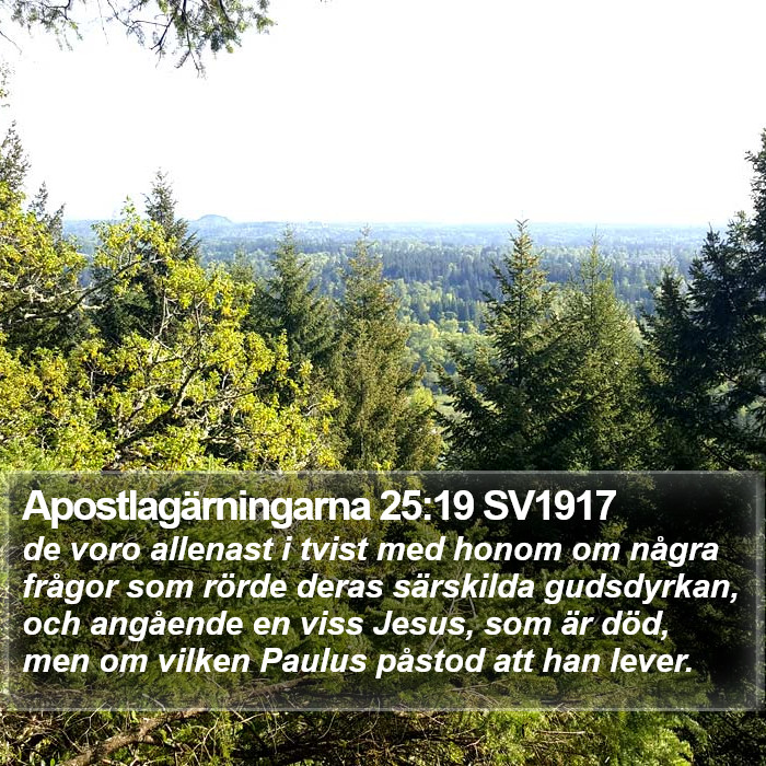 Apostlagärningarna 25:19 SV1917 Bible Study