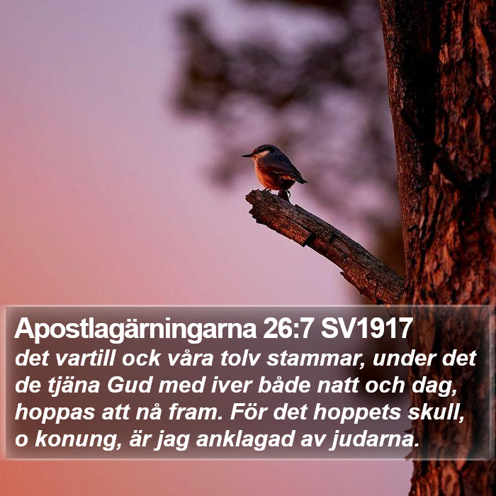 Apostlagärningarna 26:7 SV1917 Bible Study