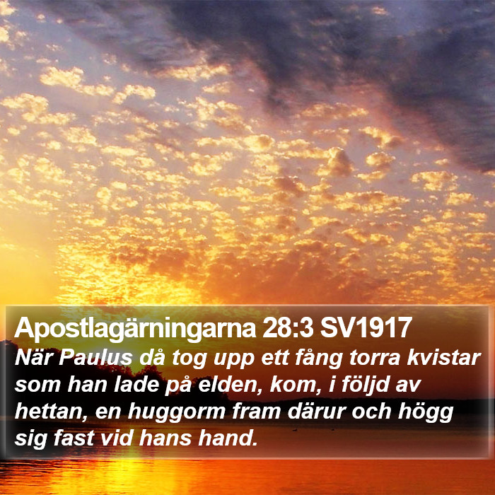 Apostlagärningarna 28:3 SV1917 Bible Study