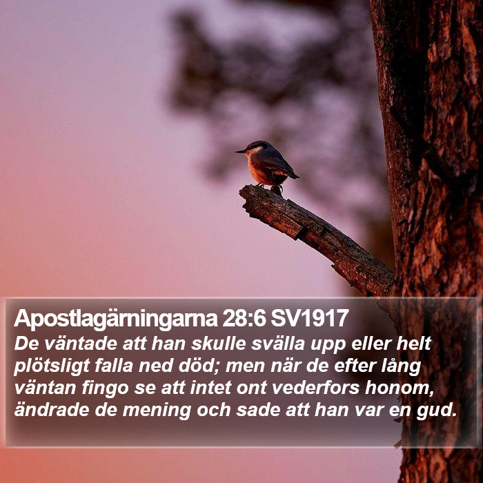 Apostlagärningarna 28:6 SV1917 Bible Study