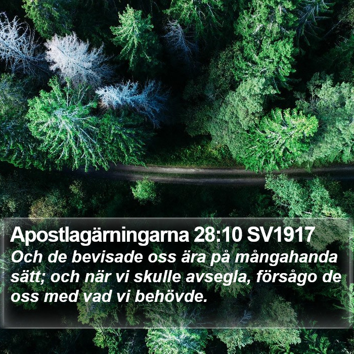 Apostlagärningarna 28:10 SV1917 Bible Study