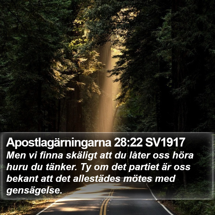 Apostlagärningarna 28:22 SV1917 Bible Study