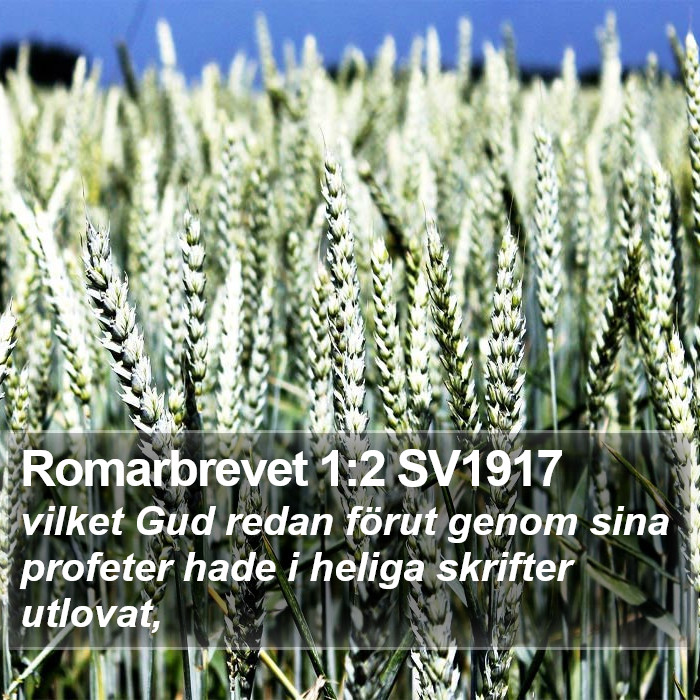 Romarbrevet 1:2 SV1917 Bible Study