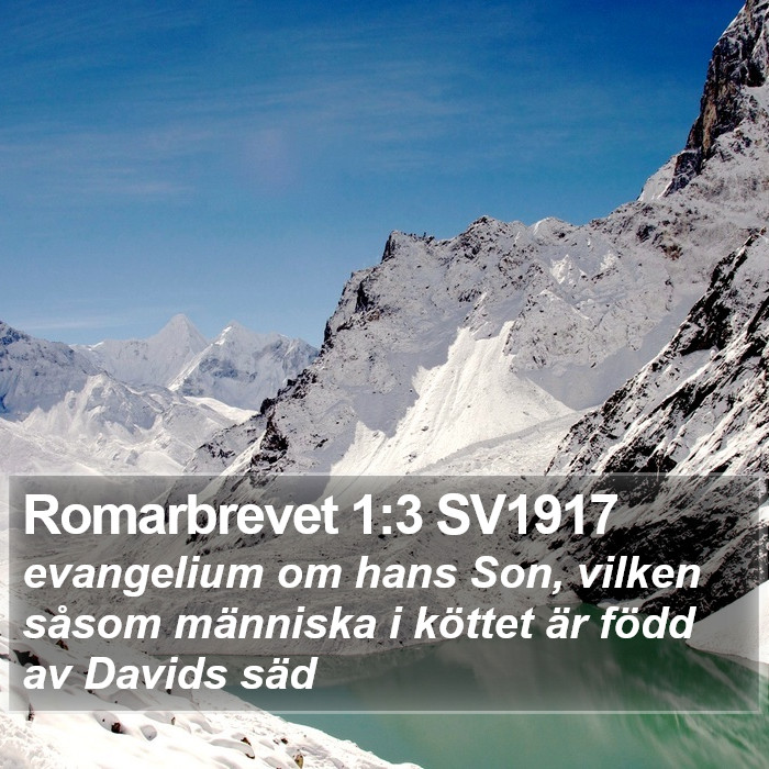 Romarbrevet 1:3 SV1917 Bible Study