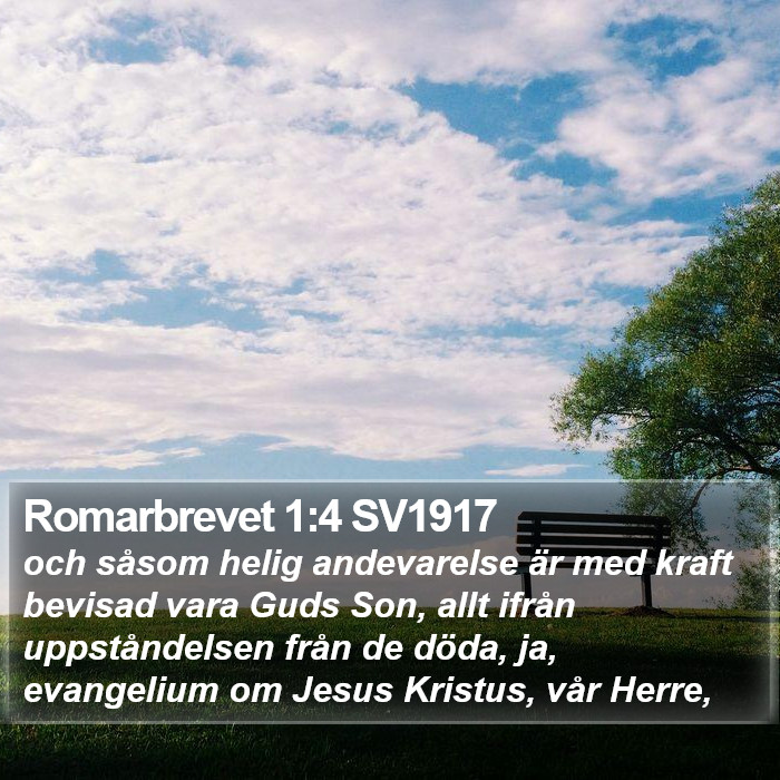 Romarbrevet 1:4 SV1917 Bible Study