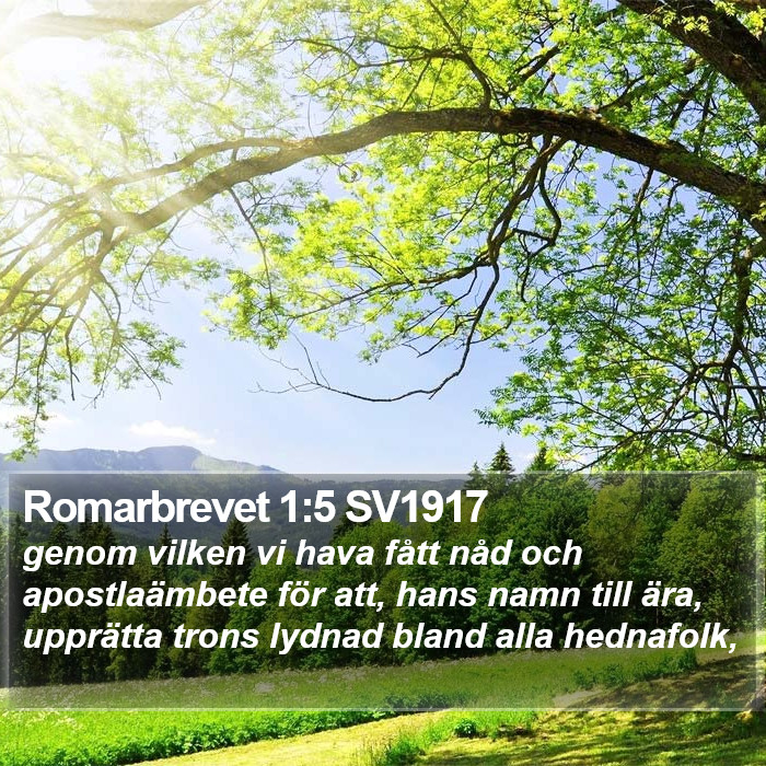 Romarbrevet 1:5 SV1917 Bible Study