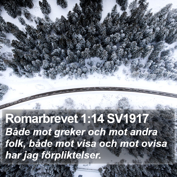 Romarbrevet 1:14 SV1917 Bible Study