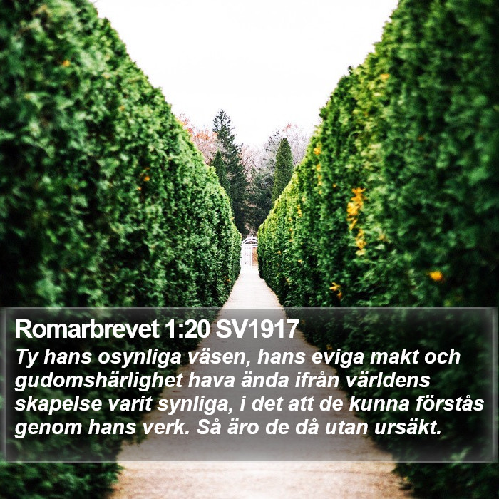 Romarbrevet 1:20 SV1917 Bible Study