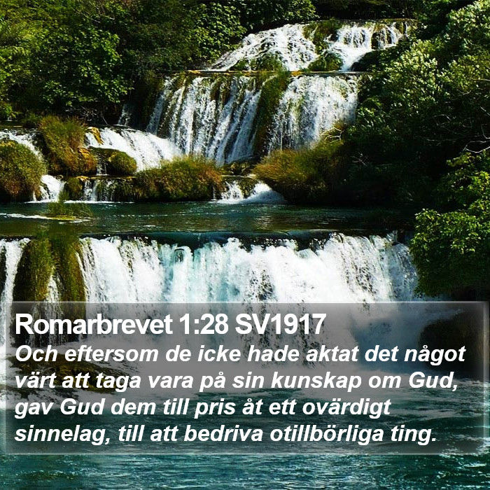 Romarbrevet 1:28 SV1917 Bible Study