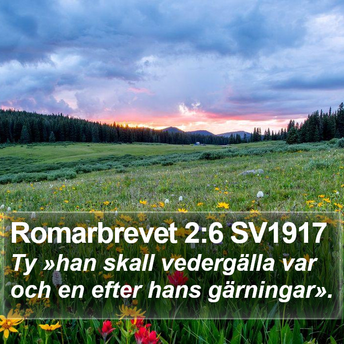 Romarbrevet 2:6 SV1917 Bible Study