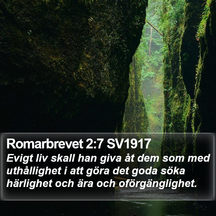 Romarbrevet 2:7 SV1917 Bible Study