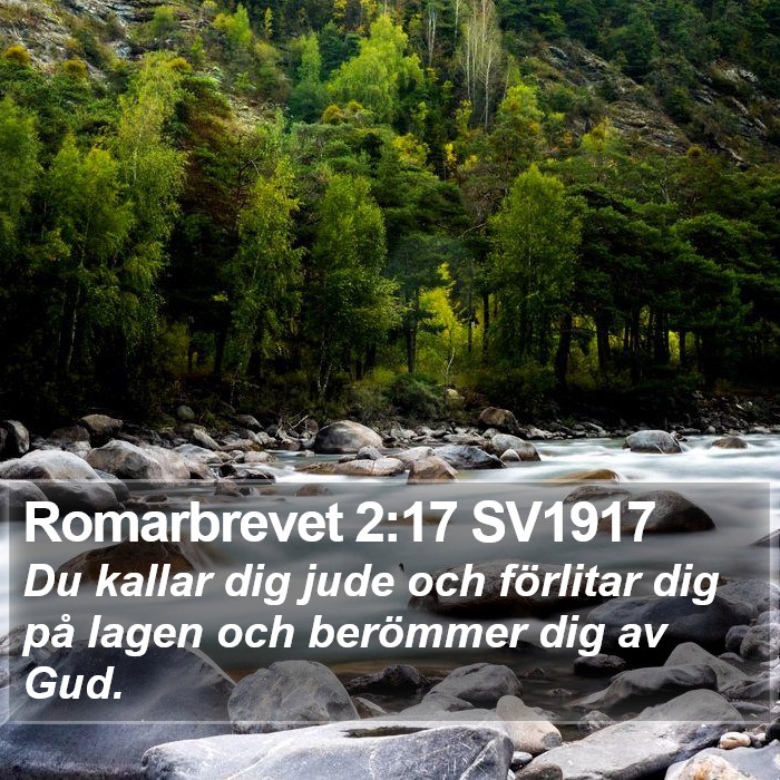 Romarbrevet 2:17 SV1917 Bible Study