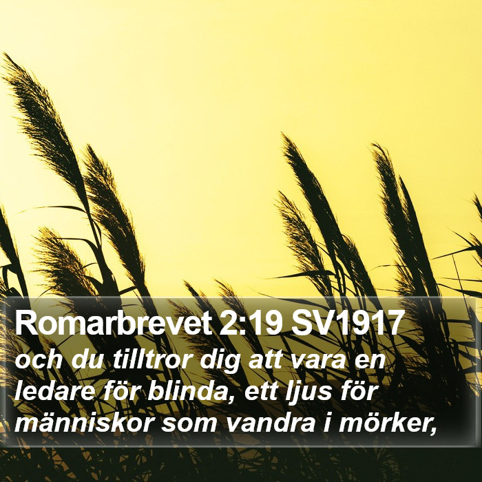 Romarbrevet 2:19 SV1917 Bible Study