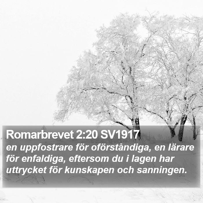 Romarbrevet 2:20 SV1917 Bible Study