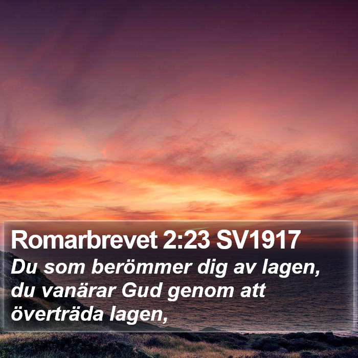 Romarbrevet 2:23 SV1917 Bible Study