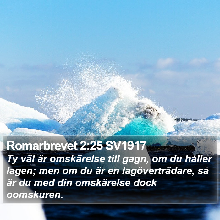 Romarbrevet 2:25 SV1917 Bible Study