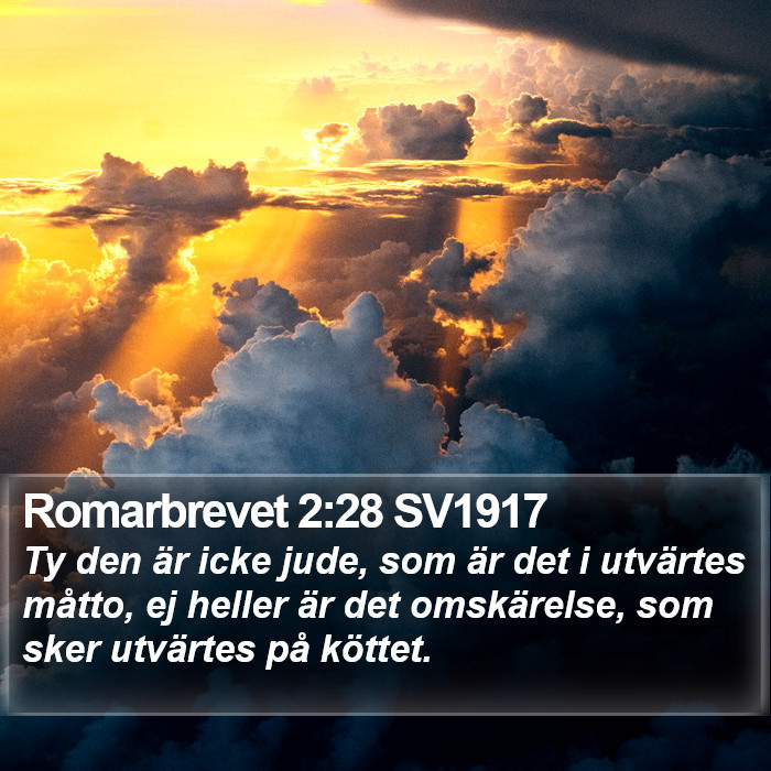 Romarbrevet 2:28 SV1917 Bible Study