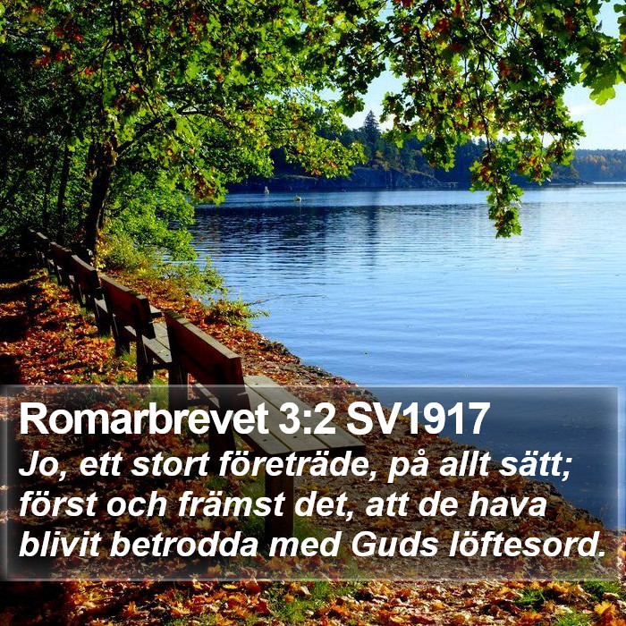 Romarbrevet 3:2 SV1917 Bible Study