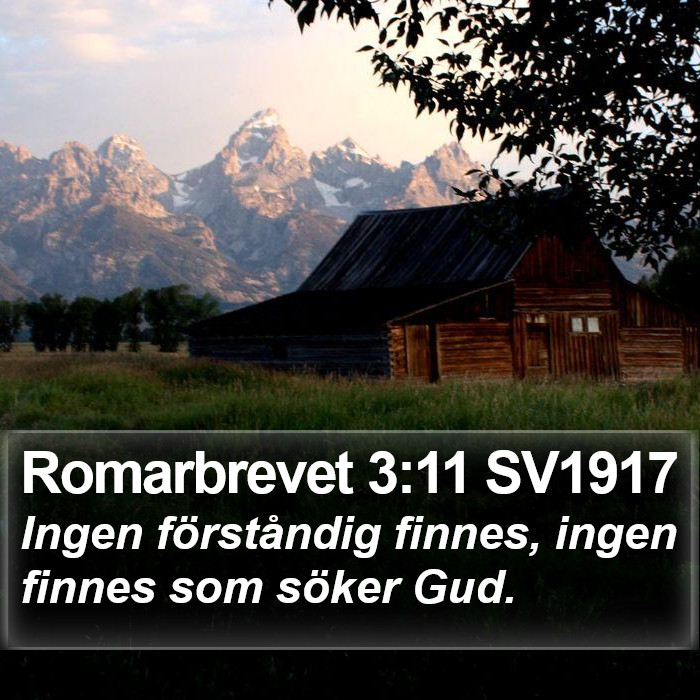 Romarbrevet 3:11 SV1917 Bible Study