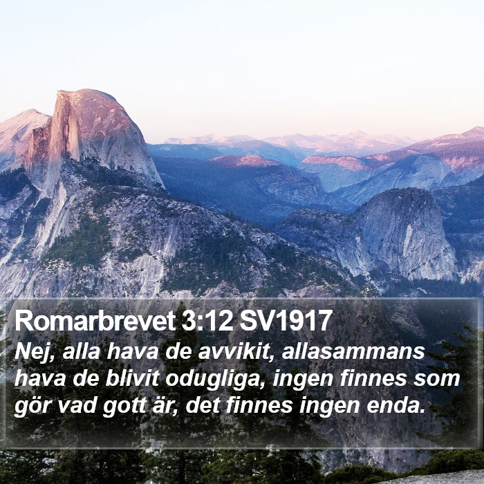 Romarbrevet 3:12 SV1917 Bible Study