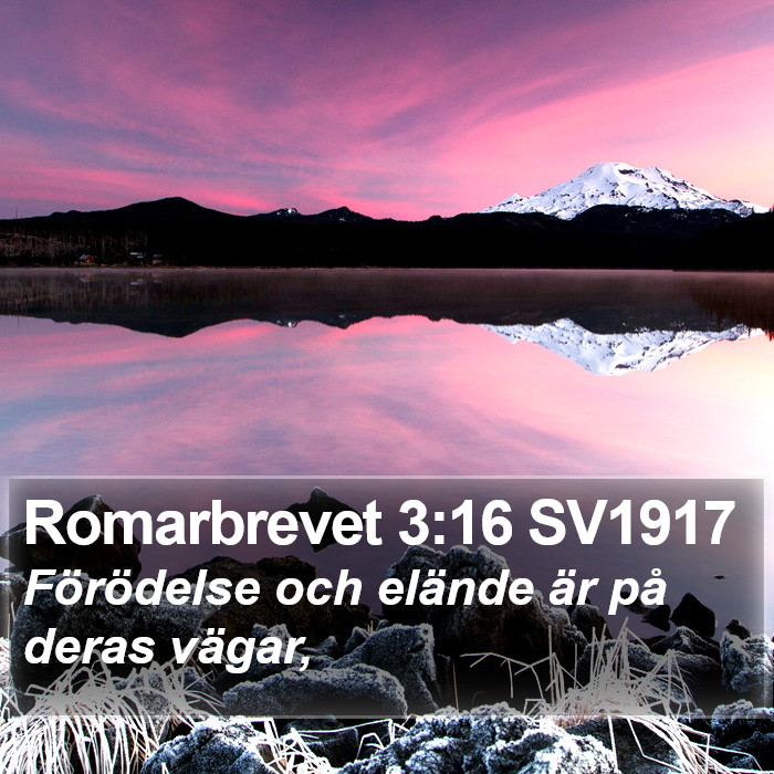 Romarbrevet 3:16 SV1917 Bible Study