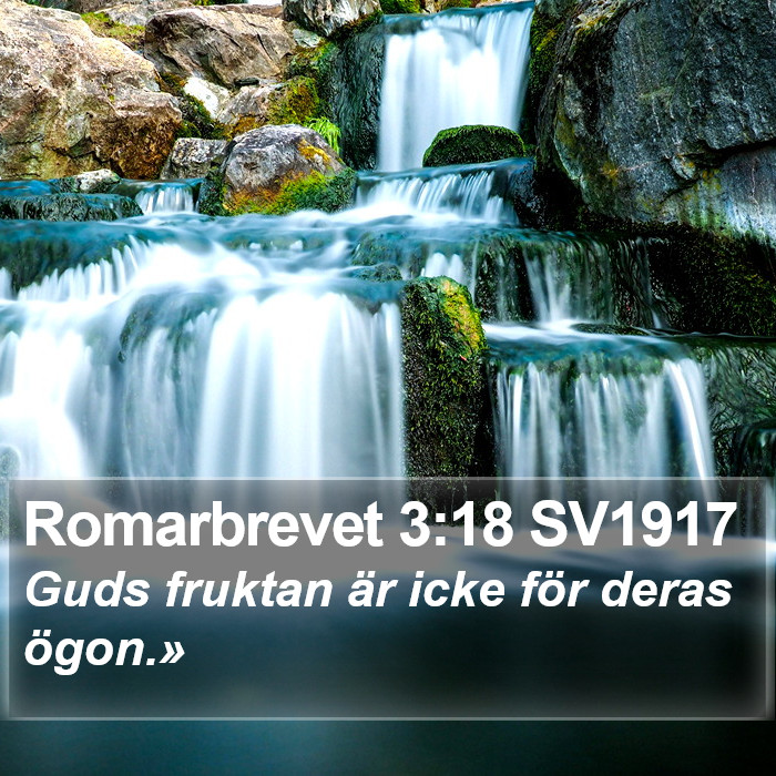 Romarbrevet 3:18 SV1917 Bible Study