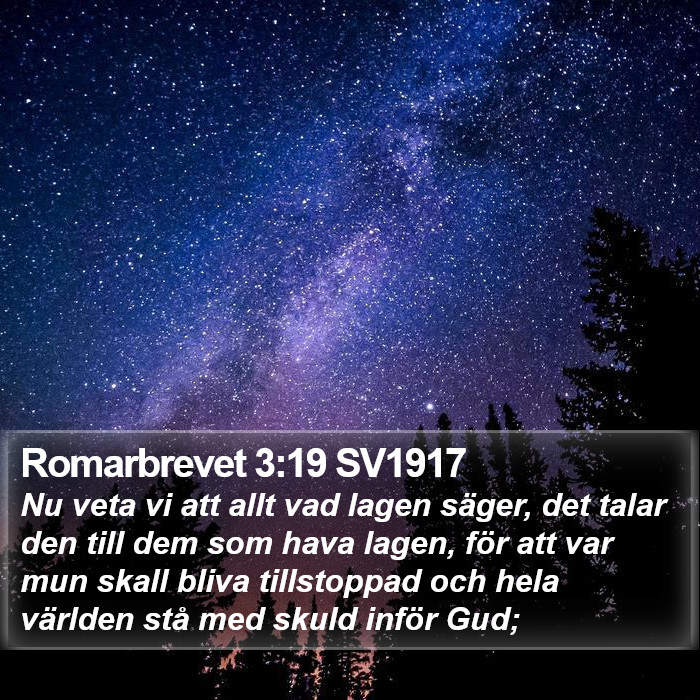 Romarbrevet 3:19 SV1917 Bible Study