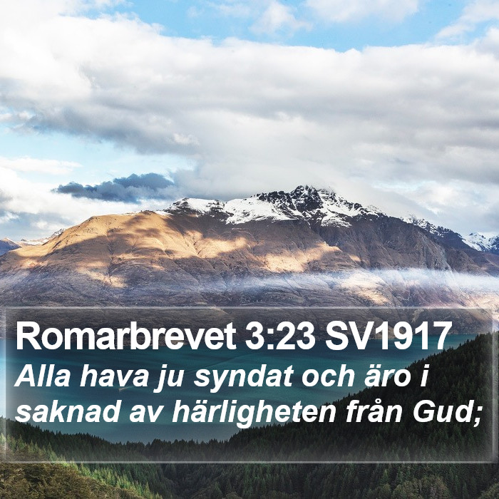 Romarbrevet 3:23 SV1917 Bible Study