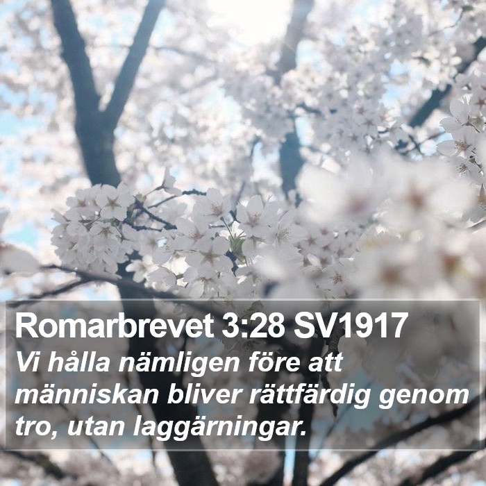 Romarbrevet 3:28 SV1917 Bible Study