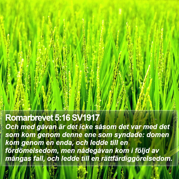 Romarbrevet 5:16 SV1917 Bible Study