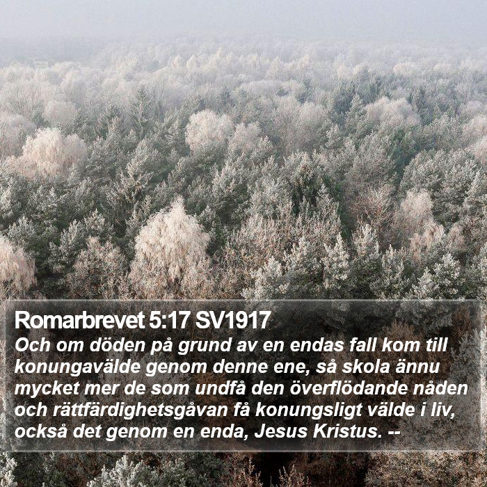 Romarbrevet 5:17 SV1917 Bible Study