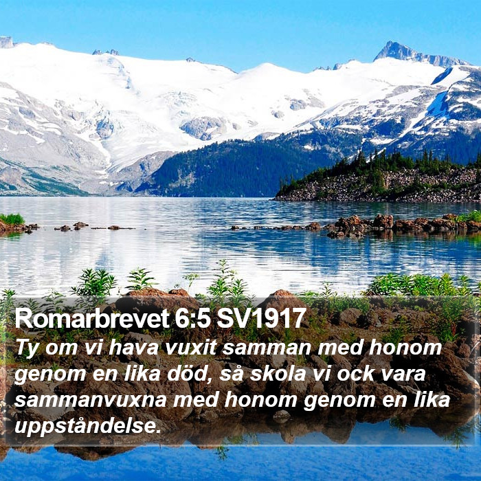 Romarbrevet 6:5 SV1917 Bible Study